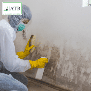 Mould Treatment