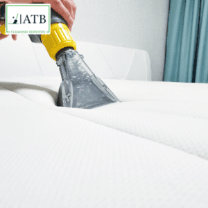 Upholstery Cleaning