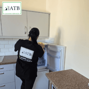 Inside Fridge Cleaning